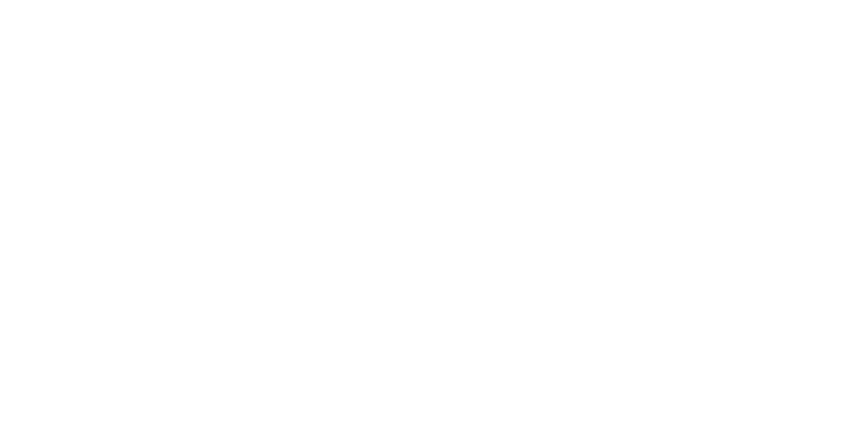 Zinus (France)
